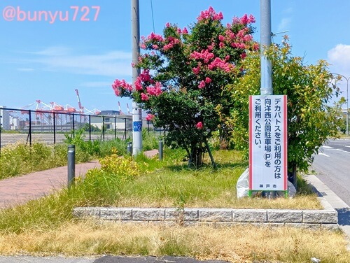 デカパトス駐車場・跡地写真