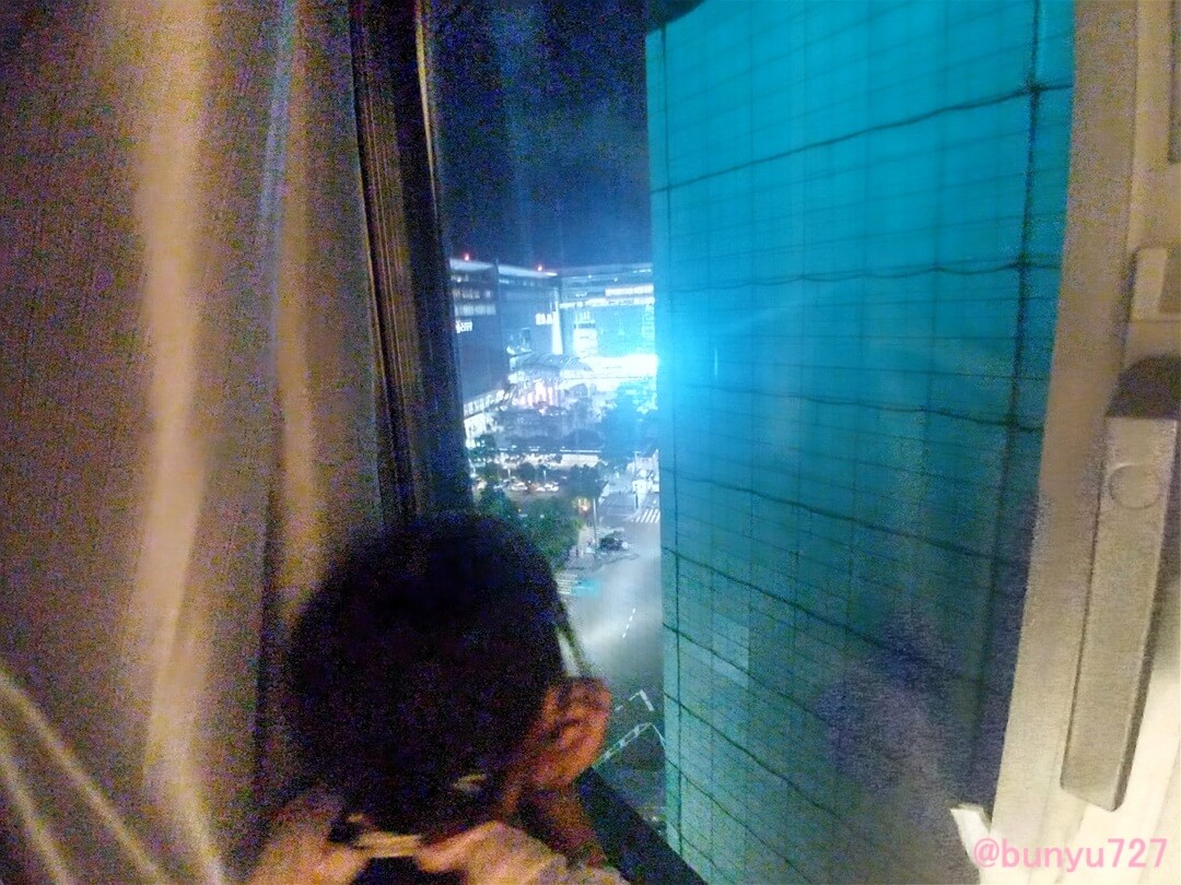 夜景を見る娘