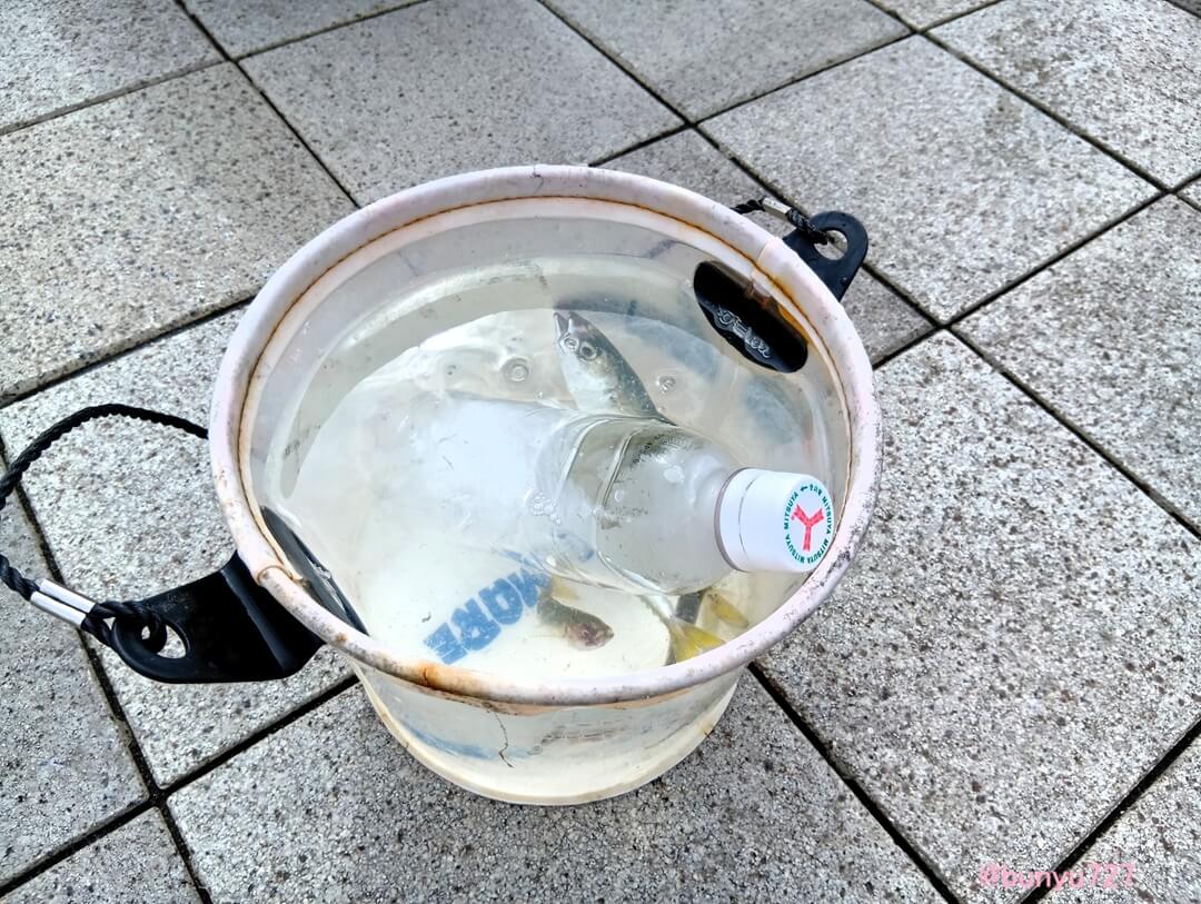 凍らせたペットボトル